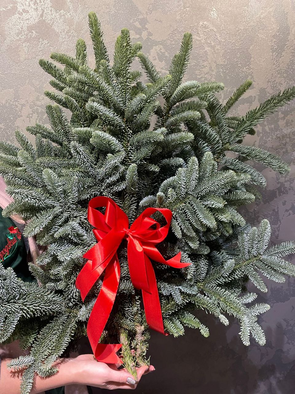 Северное дыхание